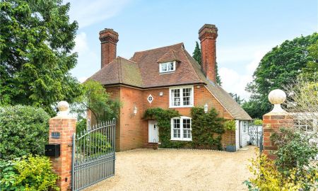 Ball & Wicket Lane